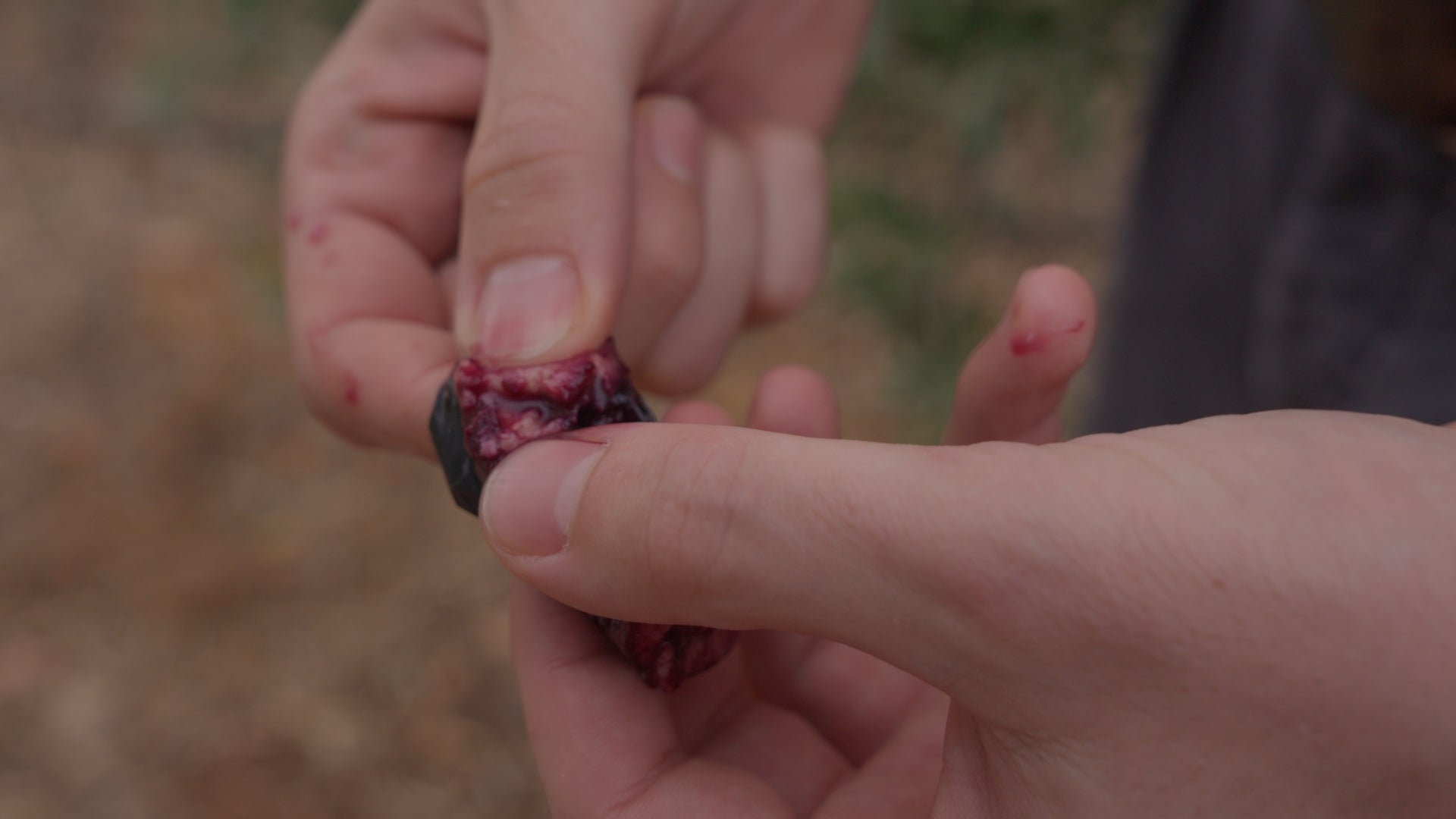 picking titin olive oil